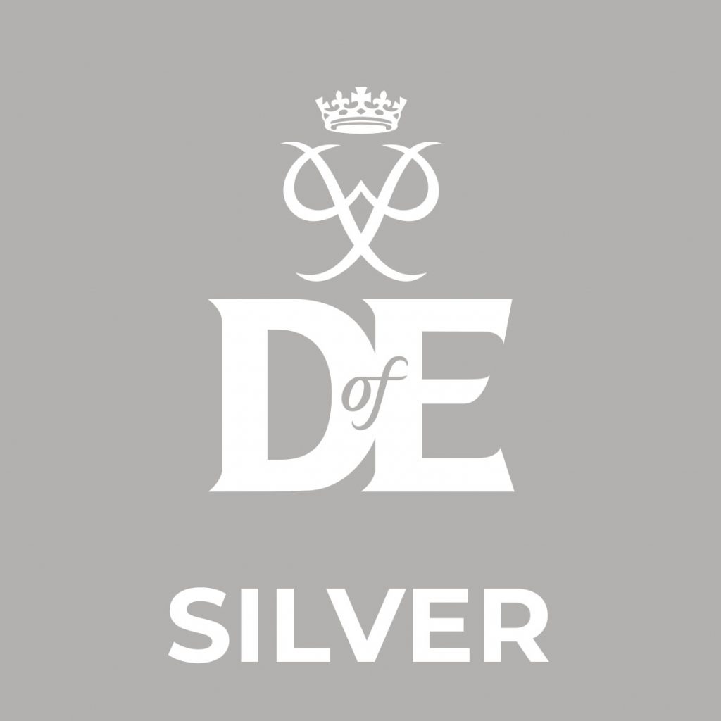 DofESilver