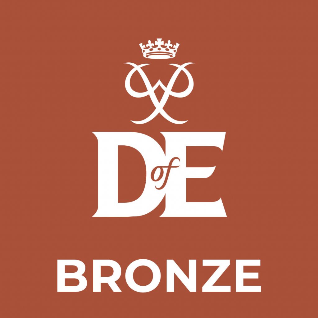 dofebronze